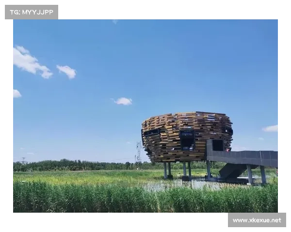 2017斯巴达赛事、2017斯巴达勇士障碍赛全球巅峰挑战热血沸腾极限征程荣耀铸就